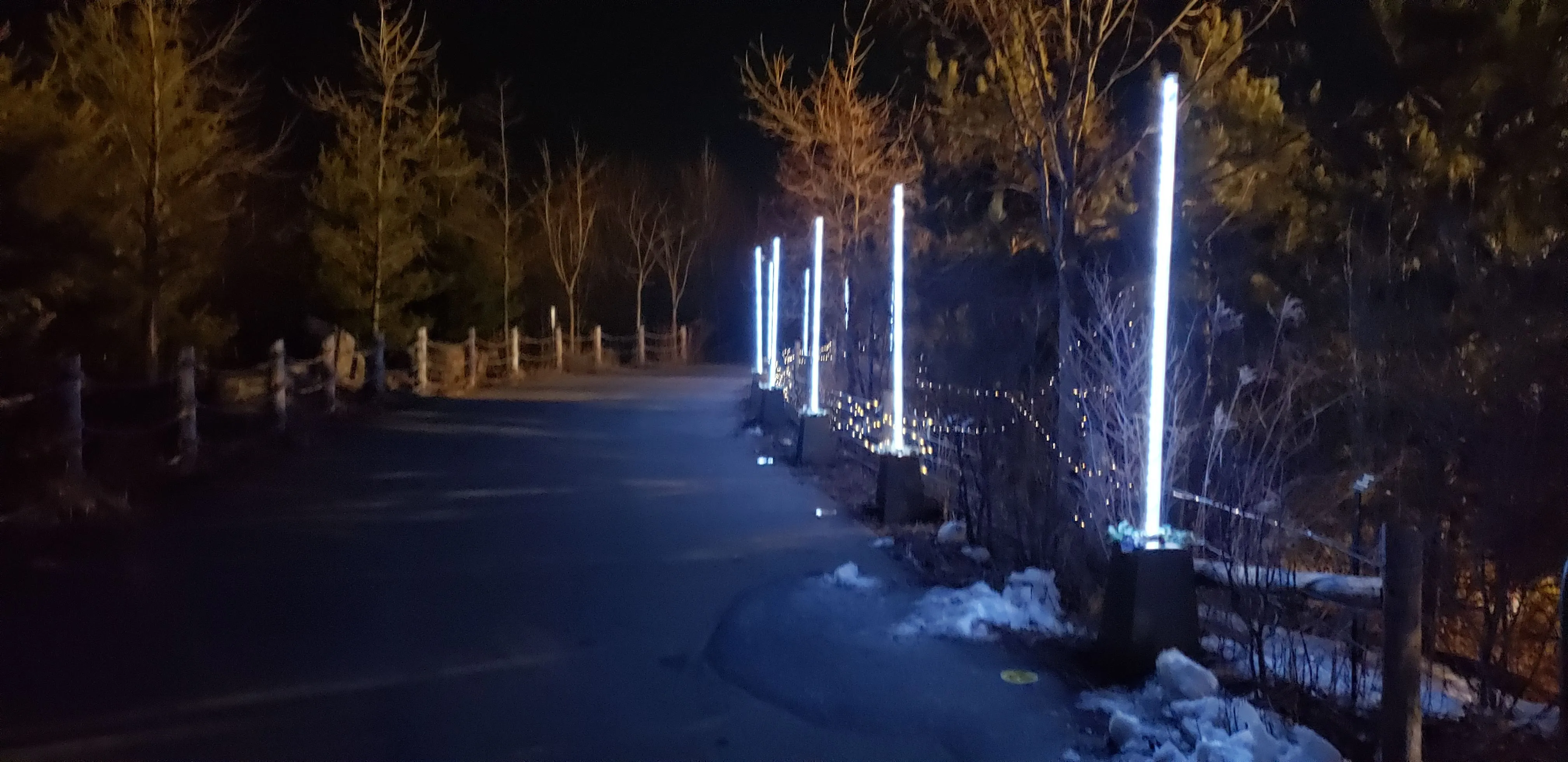 Bloom Promenade's illuminated columns extending along a snowy path at night